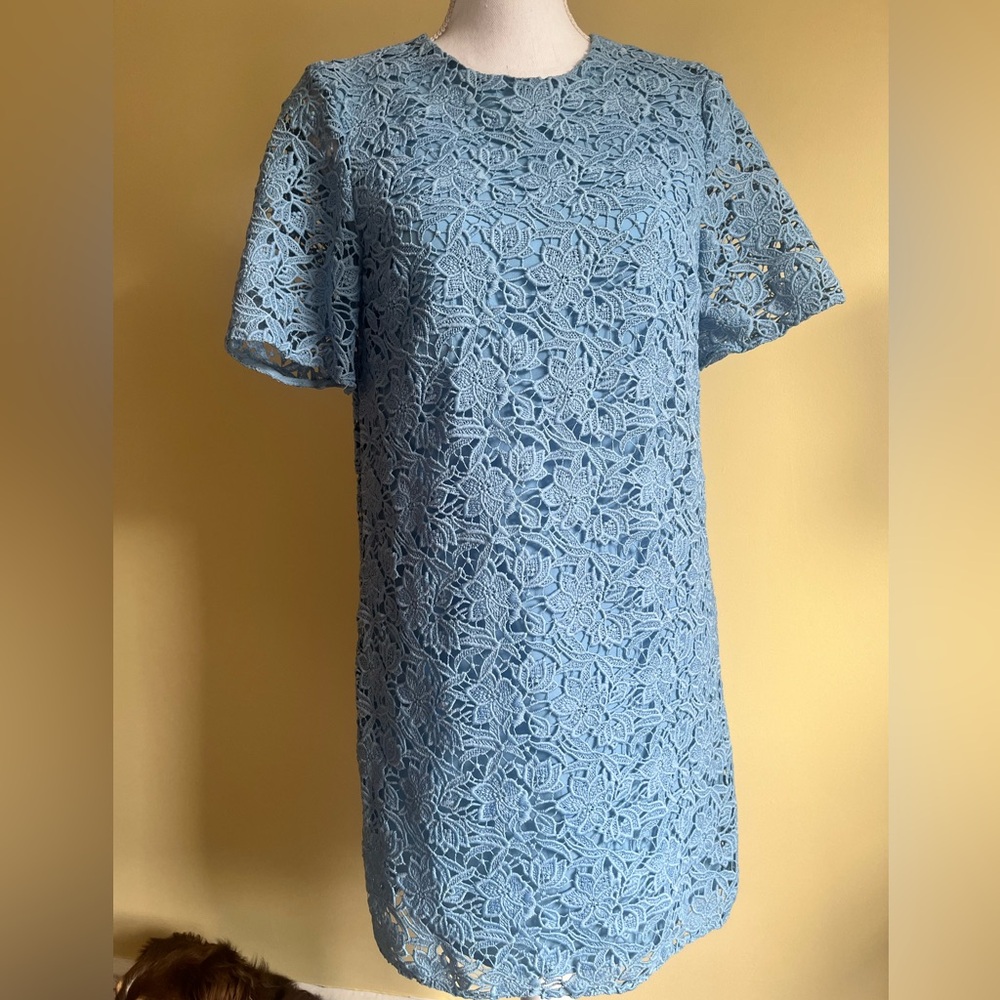 Zara Light Blue Lace Mini Dress